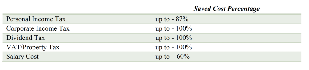 Illustrative table showing how much a foreign IT company can save by entering the Georgian market.